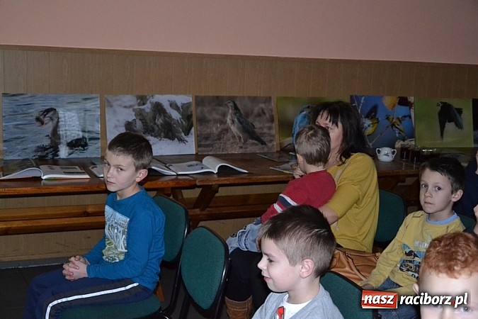 Zdjęcie w galerii na portalu naszraciborz.pl: Czym różni się pierwiosnek od piecuszka?  wiadomości z regionu