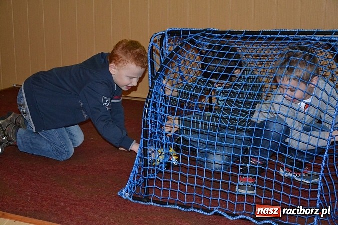 Zdjęcie w galerii na portalu naszraciborz.pl: Czym różni się pierwiosnek od piecuszka?  wiadomości z regionu