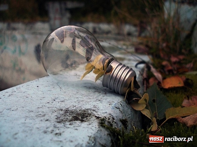 Zdjęcie w galerii na portalu naszraciborz.pl: Weź udział w konkursie i przyczyń się do ochrony środowiska wiadomości z regionu