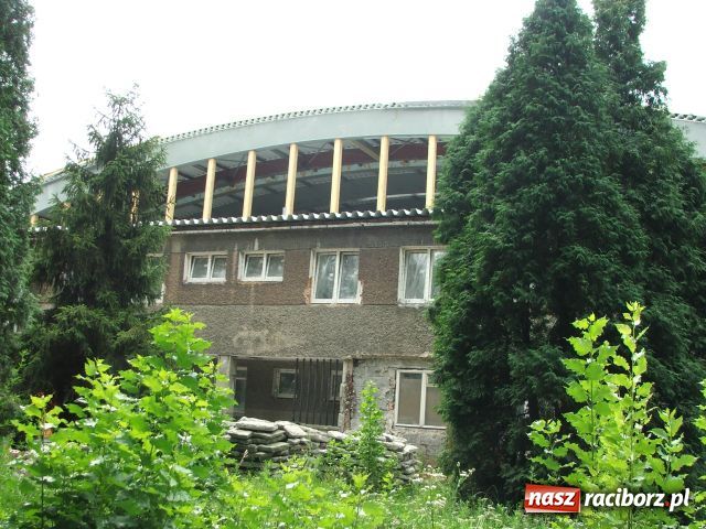 Zdjęcie w galerii na portalu naszraciborz.pl: Zielona Trzynastka przykuwa wzrok wiadomości z regionu