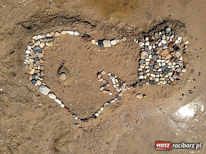 Zdjęcie w galerii na portalu naszraciborz.pl: Rok z życia raciborskich Zuchów wiadomości z regionu