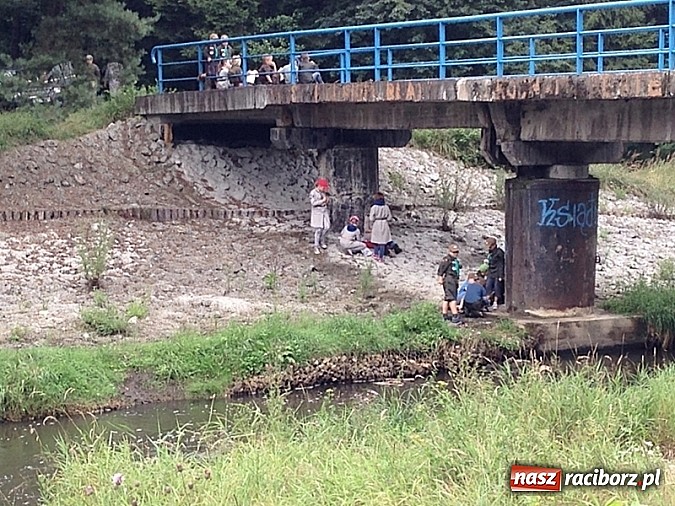 Zdjęcie w galerii na portalu naszraciborz.pl: Rok z życia raciborskich Zuchów wiadomości z regionu