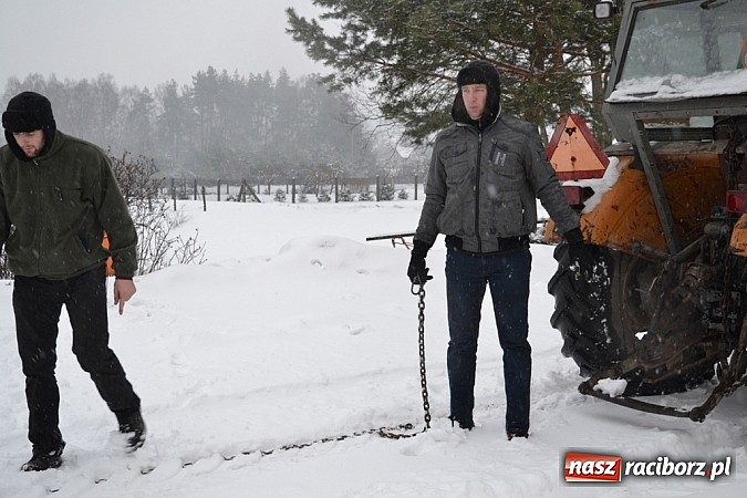 Zdjęcie w galerii na portalu naszraciborz.pl: Profanacji nie było, ferie okraszone kuligiem!  wiadomości z regionu