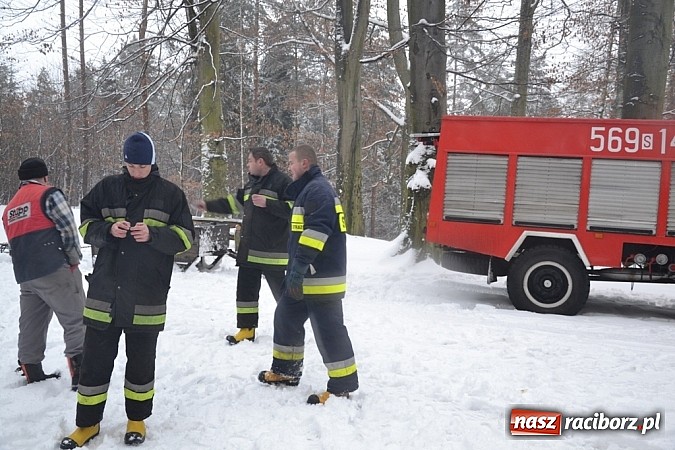 Zdjęcie w galerii na portalu naszraciborz.pl: Profanacji nie było, ferie okraszone kuligiem!  wiadomości z regionu
