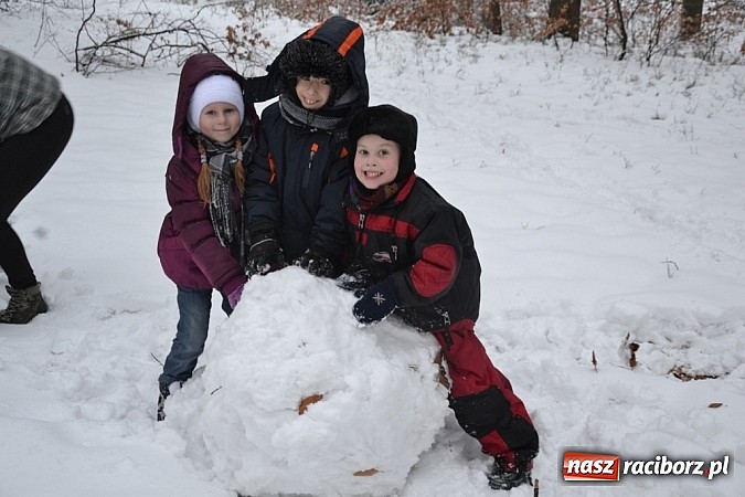 Zdjęcie w galerii na portalu naszraciborz.pl: Profanacji nie było, ferie okraszone kuligiem!  wiadomości z regionu