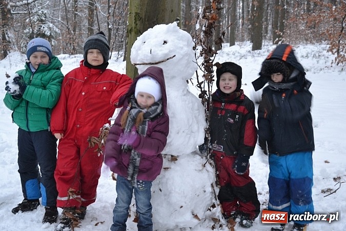 Zdjęcie w galerii na portalu naszraciborz.pl: Profanacji nie było, ferie okraszone kuligiem!  wiadomości z regionu