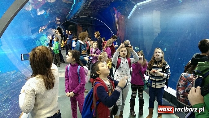 Zdjęcie w galerii na portalu naszraciborz.pl: Ferie we wrocławskim Afrykarium wiadomości z regionu