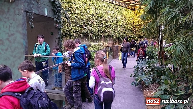 Zdjęcie w galerii na portalu naszraciborz.pl: Ferie we wrocławskim Afrykarium wiadomości z regionu