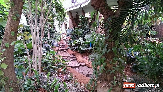 Zdjęcie w galerii na portalu naszraciborz.pl: Ferie we wrocławskim Afrykarium wiadomości z regionu