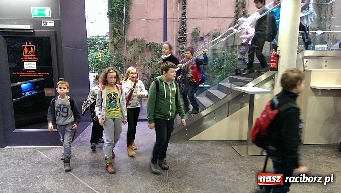 Zdjęcie w galerii na portalu naszraciborz.pl: Ferie we wrocławskim Afrykarium wiadomości z regionu