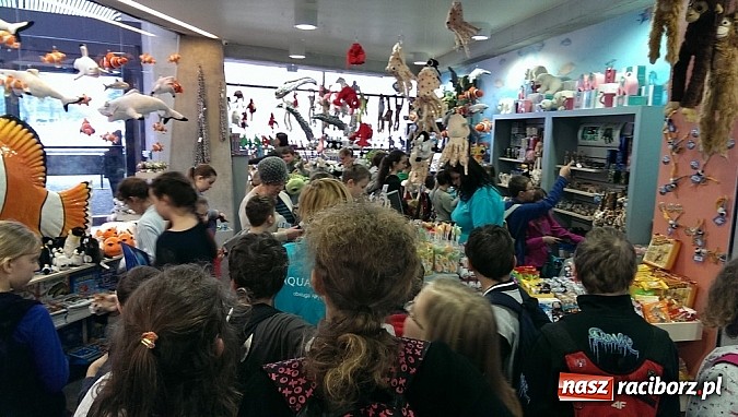 Zdjęcie w galerii na portalu naszraciborz.pl: Ferie we wrocławskim Afrykarium wiadomości z regionu