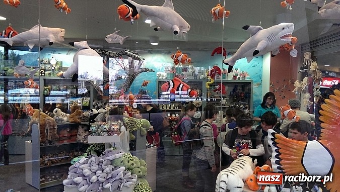 Zdjęcie w galerii na portalu naszraciborz.pl: Ferie we wrocławskim Afrykarium wiadomości z regionu