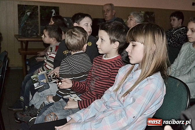 Zdjęcie w galerii na portalu naszraciborz.pl: Ptaki egzotyczne ściągnęły większą publikę! wiadomości z regionu