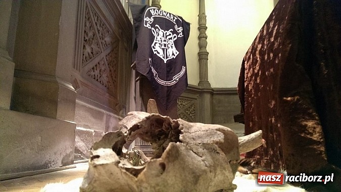 Zdjęcie w galerii na portalu naszraciborz.pl: Szkoła Magii i Czarodziejstwa w Mosznej wiadomości z regionu
