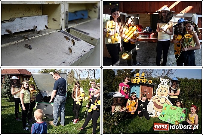 Zdjęcie w galerii na portalu naszraciborz.pl: Akademia Przyjaciół Pszczół również w powiecie raciborskim wiadomości z regionu