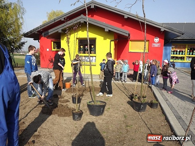 Zdjęcie w galerii na portalu naszraciborz.pl: Akademia Przyjaciół Pszczół również w powiecie raciborskim wiadomości z regionu