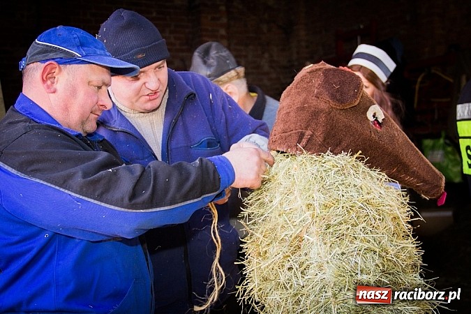 Zdjęcie w galerii na portalu naszraciborz.pl: TANZBR, czyli tradycyjne samborowickie ostatki 2015 wiadomości z regionu