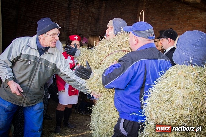Zdjęcie w galerii na portalu naszraciborz.pl: TANZBR, czyli tradycyjne samborowickie ostatki 2015 wiadomości z regionu