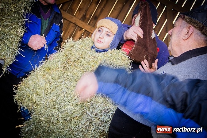 Zdjęcie w galerii na portalu naszraciborz.pl: TANZBR, czyli tradycyjne samborowickie ostatki 2015 wiadomości z regionu