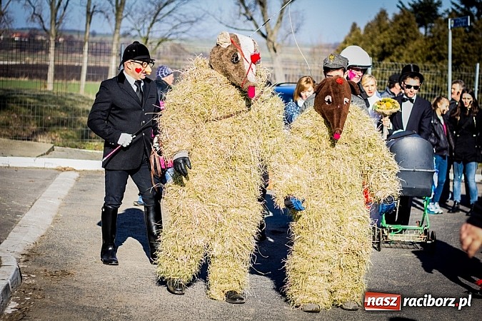 Zdjęcie w galerii na portalu naszraciborz.pl: TANZBR, czyli tradycyjne samborowickie ostatki 2015 wiadomości z regionu