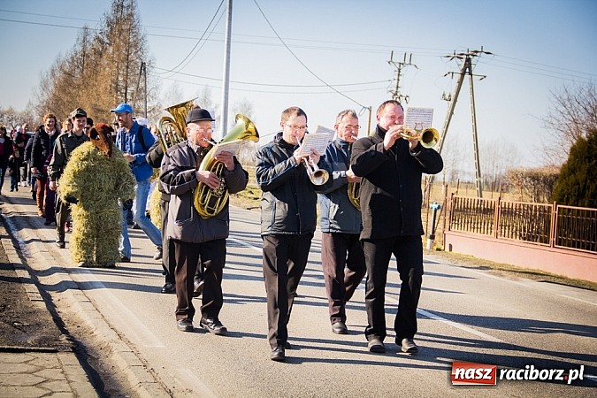 Zdjęcie w galerii na portalu naszraciborz.pl: TANZBR, czyli tradycyjne samborowickie ostatki 2015 wiadomości z regionu