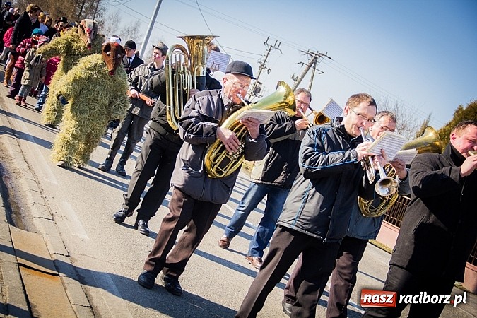 Zdjęcie w galerii na portalu naszraciborz.pl: TANZBR, czyli tradycyjne samborowickie ostatki 2015 wiadomości z regionu