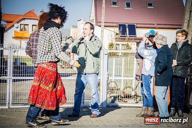 Zdjęcie w galerii na portalu naszraciborz.pl: TANZBR, czyli tradycyjne samborowickie ostatki 2015 wiadomości z regionu