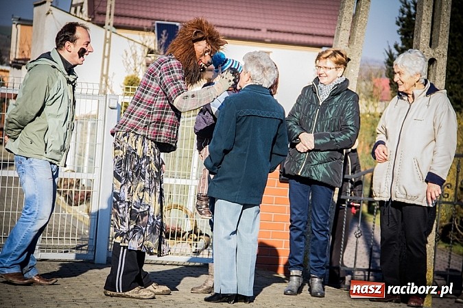 Zdjęcie w galerii na portalu naszraciborz.pl: TANZBR, czyli tradycyjne samborowickie ostatki 2015 wiadomości z regionu