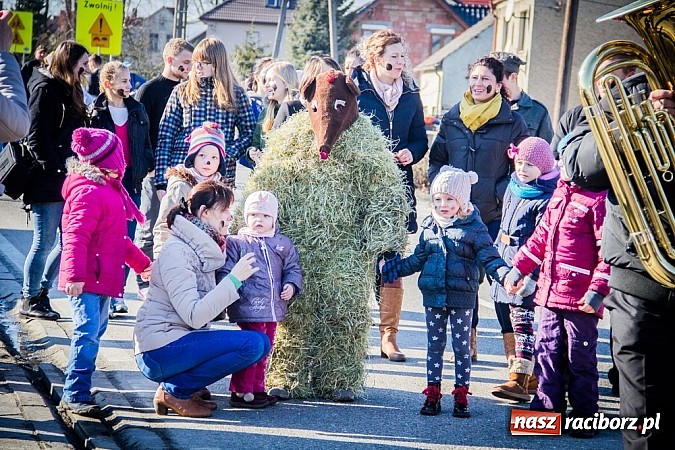 Zdjęcie w galerii na portalu naszraciborz.pl: TANZBR, czyli tradycyjne samborowickie ostatki 2015 wiadomości z regionu