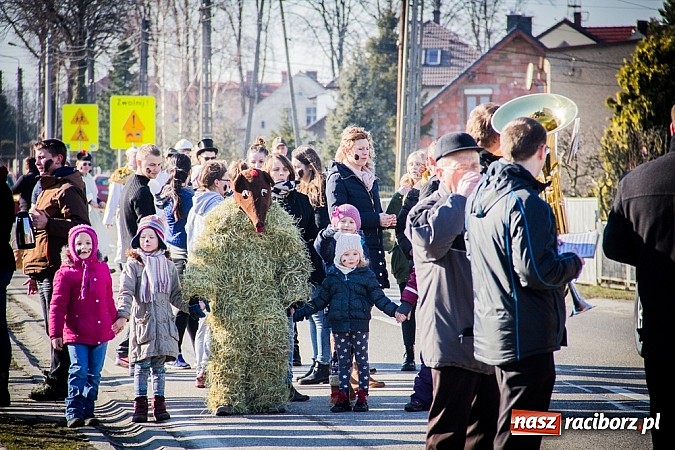 Zdjęcie w galerii na portalu naszraciborz.pl: TANZBR, czyli tradycyjne samborowickie ostatki 2015 wiadomości z regionu