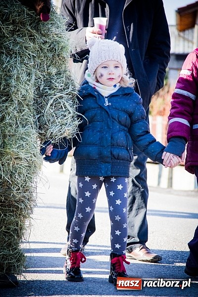 Zdjęcie w galerii na portalu naszraciborz.pl: TANZBR, czyli tradycyjne samborowickie ostatki 2015 wiadomości z regionu
