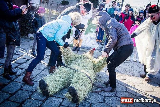 Zdjęcie w galerii na portalu naszraciborz.pl: TANZBR, czyli tradycyjne samborowickie ostatki 2015 wiadomości z regionu