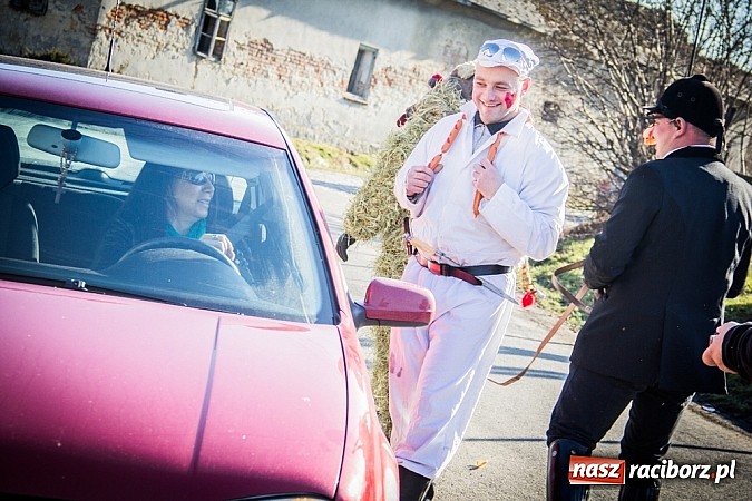 Zdjęcie w galerii na portalu naszraciborz.pl: TANZBR, czyli tradycyjne samborowickie ostatki 2015 wiadomości z regionu