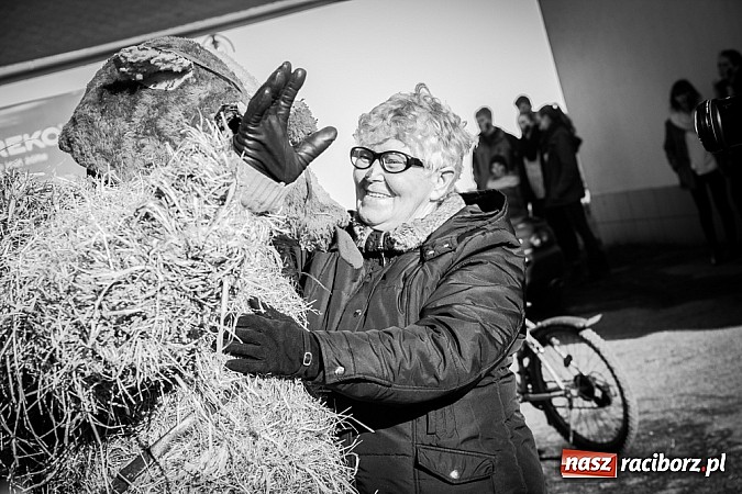 Zdjęcie w galerii na portalu naszraciborz.pl: TANZBR, czyli tradycyjne samborowickie ostatki 2015 wiadomości z regionu