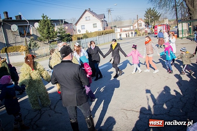 Zdjęcie w galerii na portalu naszraciborz.pl: TANZBR, czyli tradycyjne samborowickie ostatki 2015 wiadomości z regionu