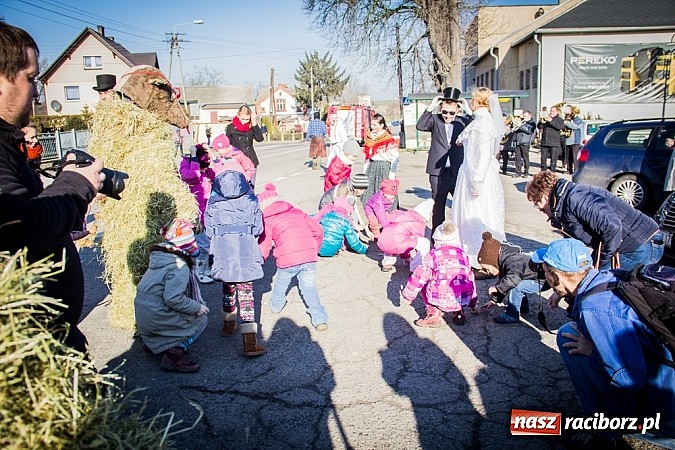 Zdjęcie w galerii na portalu naszraciborz.pl: TANZBR, czyli tradycyjne samborowickie ostatki 2015 wiadomości z regionu