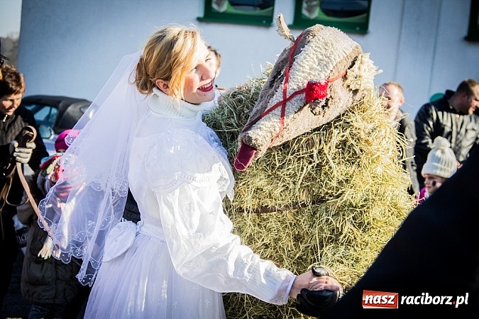 Zdjęcie w galerii na portalu naszraciborz.pl: TANZBR, czyli tradycyjne samborowickie ostatki 2015 wiadomości z regionu