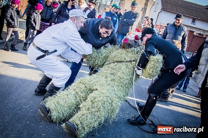 Zdjęcie w galerii na portalu naszraciborz.pl: TANZBR, czyli tradycyjne samborowickie ostatki 2015 wiadomości z regionu