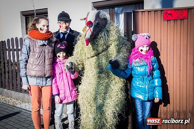 Zdjęcie w galerii na portalu naszraciborz.pl: TANZBR, czyli tradycyjne samborowickie ostatki 2015 wiadomości z regionu