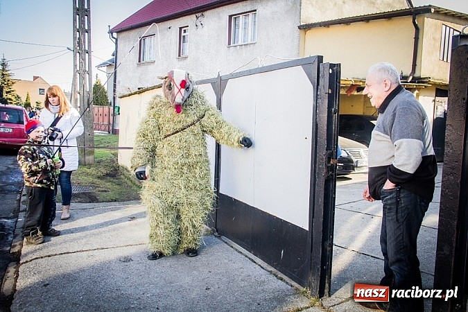 Zdjęcie w galerii na portalu naszraciborz.pl: TANZBR, czyli tradycyjne samborowickie ostatki 2015 wiadomości z regionu