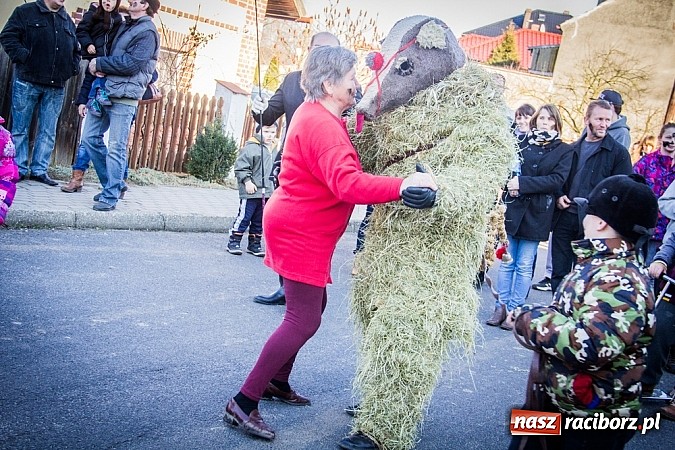 Zdjęcie w galerii na portalu naszraciborz.pl: TANZBR, czyli tradycyjne samborowickie ostatki 2015 wiadomości z regionu