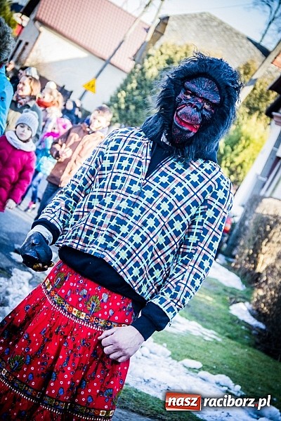 Zdjęcie w galerii na portalu naszraciborz.pl: TANZBR, czyli tradycyjne samborowickie ostatki 2015 wiadomości z regionu