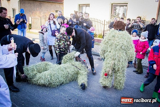Zdjęcie w galerii na portalu naszraciborz.pl: TANZBR, czyli tradycyjne samborowickie ostatki 2015 wiadomości z regionu