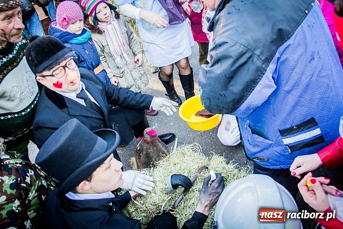 Zdjęcie w galerii na portalu naszraciborz.pl: TANZBR, czyli tradycyjne samborowickie ostatki 2015 wiadomości z regionu