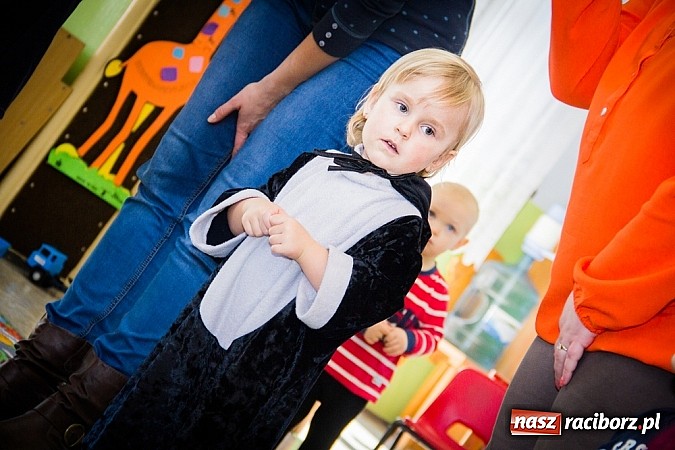 Zdjęcie w galerii na portalu naszraciborz.pl: Wesoły Bal Karnawałowy w Przedszkolu nr 5 wiadomości z regionu