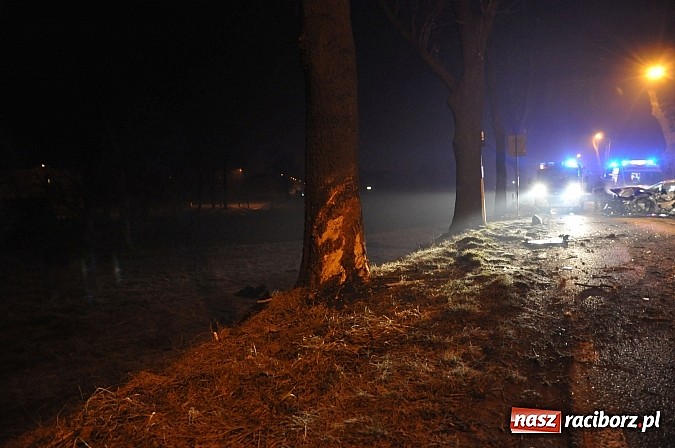 Zdjęcie w galerii na portalu naszraciborz.pl: Pożary, wypadek i spalony samochód – weekendowe interwencje strażaków wiadomości z regionu
