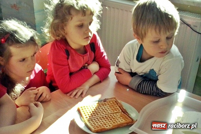 Zdjęcie w galerii na portalu naszraciborz.pl: Pracowity tydzień Elfików  wiadomości z regionu