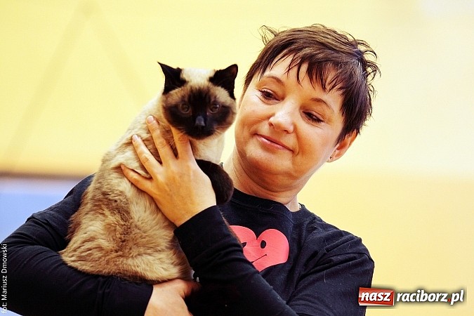 Zdjęcie w galerii na portalu naszraciborz.pl: Uczniowie SP 13 obchodzili Dzień Kota wiadomości z regionu