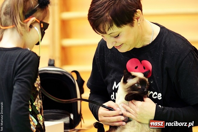 Zdjęcie w galerii na portalu naszraciborz.pl: Uczniowie SP 13 obchodzili Dzień Kota wiadomości z regionu