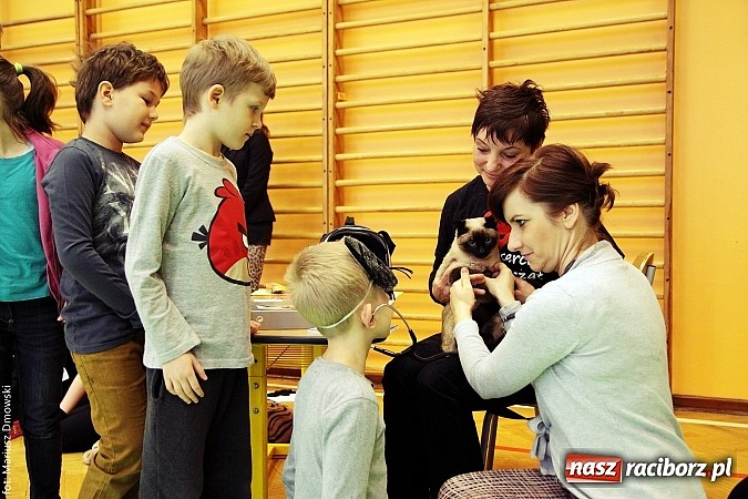 Zdjęcie w galerii na portalu naszraciborz.pl: Uczniowie SP 13 obchodzili Dzień Kota wiadomości z regionu